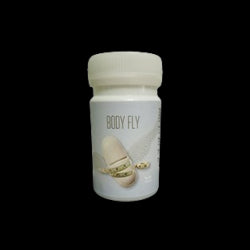 Body Fly