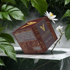 VELORA NIGHT CREAM